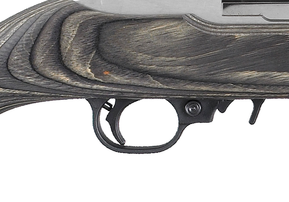 verwijderen Polair Garantie Ruger® 10/22® Autoloading Rifle